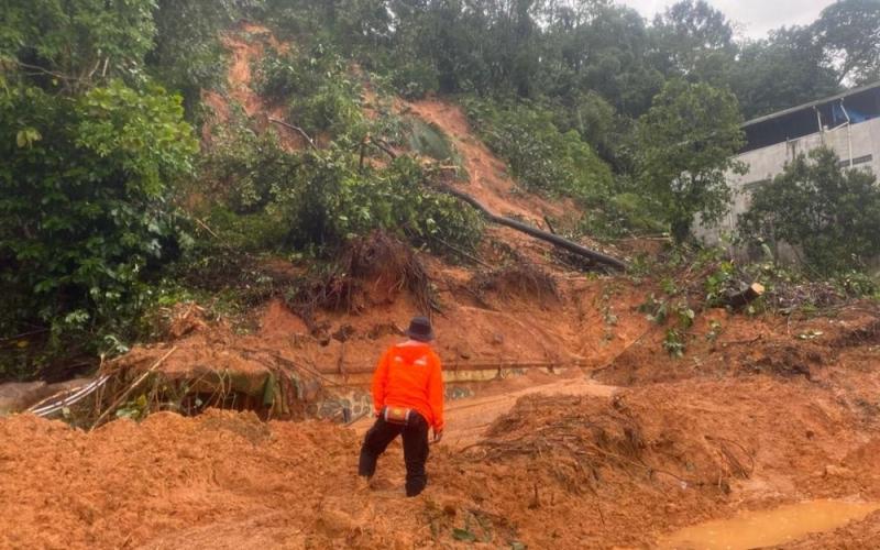 Kementan Gelontorkan Rp336 Miliar untuk Rehabilitasi Sawah Terdampak Bencana Sumatera