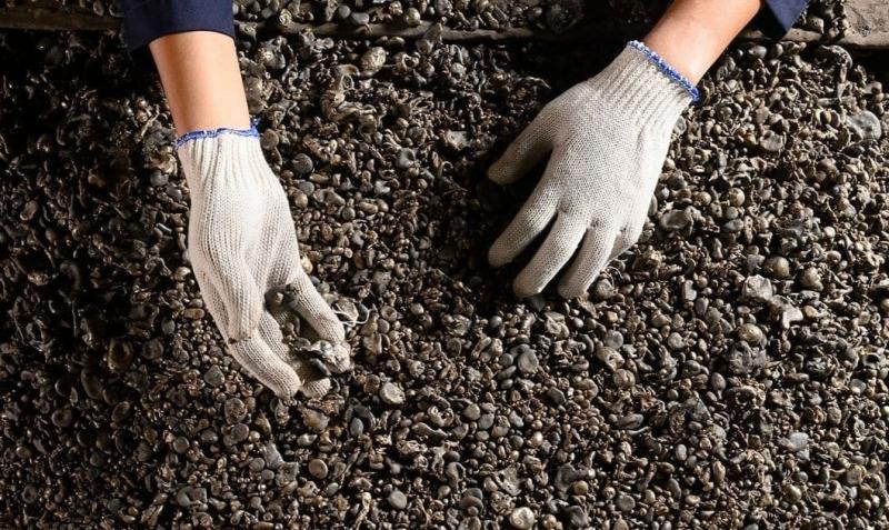 Saham Tambang Nikel hingga Tembaga Kompak Hijau, TINS-INCO Terdepan