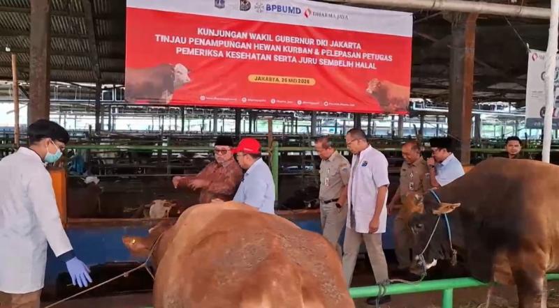68 Ribu Hewan Kurban Iduladha 2026 akan Disembelih di Jakarta
