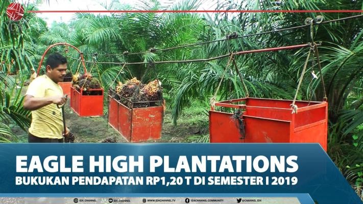 Eagle High Plantations Bukukan Pendapatan Rp1,20 T Di Semester I 2019