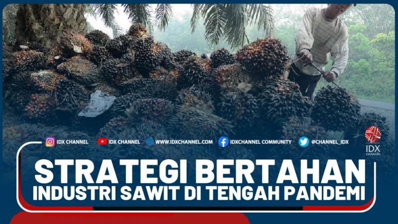 Strategi Bertahan Industri Sawit Di Tengah Pandemi - Market Review Part 5