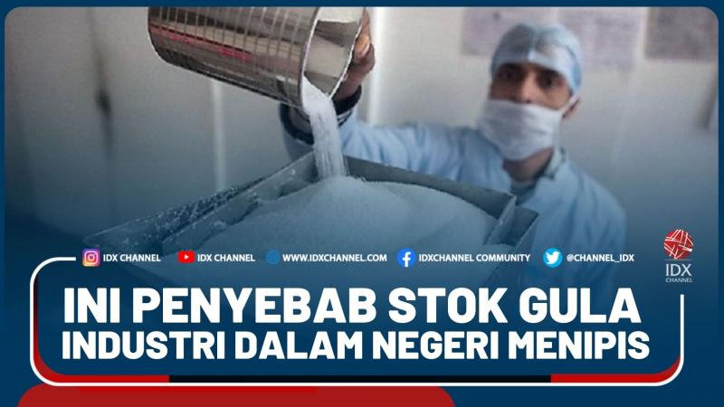 Ini Penyebab Stok Gula Industri Dalam Negeri Menipis – Market Review Part 2